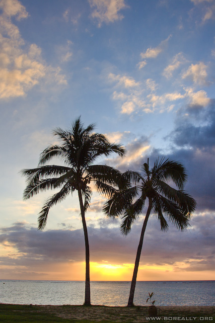 Ile Maurice Coucher Soleil Palmiers Jpg Sur Pictonale Hebergement Gratuit D Images